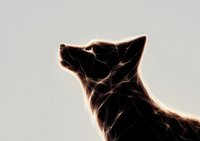 Artistic silhouette of wolf head with glowing geometric lines and nodes creating constellation effect against light background, modern digital art style.