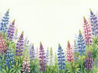 Watercolor lupine flowers border frame with colorful blooms and green foliage on white background for spring garden design projects.