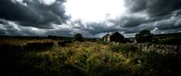 Abandoned stone cottage ruins in overgrown field under dramatic stormy sky, suitable for historical, gothic, or rural decay themed projects.