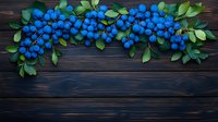 Fresh ripe blueberries and green leaves arranged in decorative border on dark wooden background, forming natural frame for food photography and design.