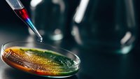 Laboratory pipette dropping red liquid sample into petri dish with green bacterial culture for scientific research and microbiological analysis.