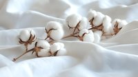 Cotton branch with fluffy white bolls lying on soft white fabric creating gentle folds and shadows, natural organic composition for textile and spa concepts.