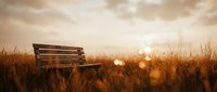 Wooden bench in golden wheat field at sunset with warm bokeh lights and soft evening atmosphere.