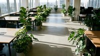 Modern office space with potted green plants scattered throughout, featuring large windows with natural light, wooden desks, and contemporary furniture for corporate workspace design.