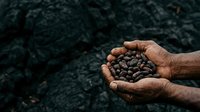Weathered hands holding roasted coffee beans against dark textured background, suitable for coffee industry marketing, packaging design, and beverage commerce materials.