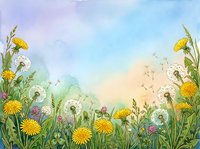 Watercolor meadow with yellow dandelions, fluffy seed heads, clover, and wild grasses under a soft pastel sky, seeds floating in the breeze.