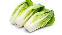 Fresh romaine lettuce hearts isolated on white background for healthy cooking and salad preparation in kitchen and restaurant use.