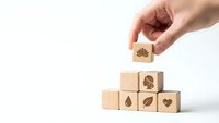Hand placing wooden cube with tree symbol on pyramid of eco-friendly blocks featuring nature icons on white background for sustainable business concepts.