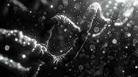 Monochrome abstract visualization of DNA double helix structure with glowing particles and bokeh effects against dark background, representing genetic research and science.