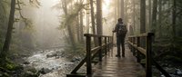 Person in dark clothing standing on wooden bridge over stream in misty forest with tall trees and flowing water, suitable for nature, travel, and wellness content.
