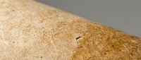 Close-up of golden wheat flour with scattered grains showing fine texture and natural color variations for baking and cooking applications.