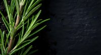 Fresh rosemary sprigs on dark slate background with copy space for culinary and cooking designs.