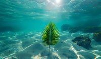 Single green palm leaf floating underwater in crystal clear turquoise ocean water with sunlight rays streaming through surface and sandy bottom.
