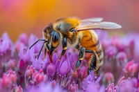 Honey bee collecting pollen from vibrant pink flower with detailed macro view showing wings, antennae and body structure against colorful blurred background.