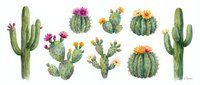 Watercolor cactus collection with blooming flowers on white background, desert plants set for botanical design and decoration projects.