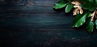 Fresh green leaves and golden foliage arranged in corner on dark wooden background with copy space, creating dramatic natural composition for food or spa design.