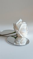 Single white rose reflected in mirror surface against neutral background, creating elegant minimalist composition with soft natural lighting.