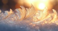 Delicate frost crystals form intricate feather patterns on winter window glass, backlit by warm golden sunrise light creating magical natural ice art on frozen surface.