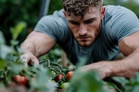 Young athletic Caucasian male gardener with beard and curly hair carefully tending to tomato plants in organic garden, wearing grey t-shirt, focused on sustainable farming.