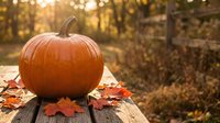 Orange pumpkin on wooden table with autumn leaves in warm sunlight, seasonal harvest decoration for fall holidays and thanksgiving celebrations.