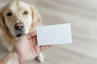 Cream-colored retriever holding blank white card in mouth, person's hand visible, studio setting with neutral background, suitable for business messaging and pet advertising.
