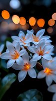 White flowers with orange stamens covered in dewdrops against blurred warm bokeh lights, suitable for nature, spring, and botanical design projects.