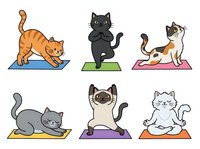 Cats doing yoga poses on colorful mats, isolated on white background. Cartoon style felines in stretching and meditation positions for wellness and fitness design use.