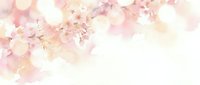 Soft pink cherry blossom branches with delicate petals on light watercolor background for spring wedding invitations and romantic design projects.
