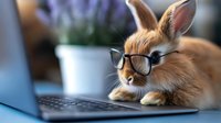 Fluffy brown rabbit wearing glasses while working on laptop computer, depicting smart business concept and remote work lifestyle in modern office setting.