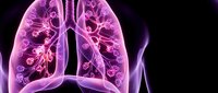 Medical illustration showing human lungs with detailed bronchial tree and alveoli structure in pink and purple tones for healthcare education and respiratory system study.