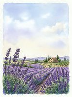 Watercolor lavender field landscape with farmhouse and rolling hills under soft purple sky for rustic home decor and botanical wall art designs.