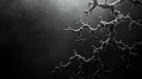 Dramatic black and white fractal pattern resembling lightning or tree branches against dark background creates moody atmospheric effect for artistic designs.