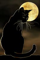 Black cat silhouette against golden full moon background with mystical atmospheric lighting, whiskers highlighted by moonlight glow. Artistic fantasy composition.