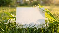 Blank white paper card lying on green grass with small white flowers in natural outdoor setting with warm sunlight creating peaceful spring atmosphere.