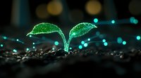 Glowing green seedling emerging from soil at night with bokeh lights, representing growth, hope, and environmental sustainability. Nature meets fantasy concept.