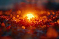 Golden sun setting behind autumn leaves creating magical bokeh effect with warm orange glow and dreamy atmosphere for nature photography and seasonal backgrounds.