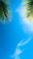 Palm fronds frame bright blue summer sky with wispy white clouds, creating tropical vacation atmosphere for travel and resort marketing materials.