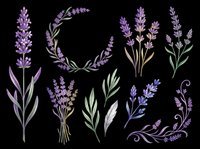 Lavender flower clipart set with bouquets, wreath, and branches isolated on transparent background. Great for stickers, t-shirt design, sublimation, and print on demand.