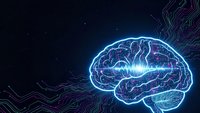 Digital brain with glowing neural networks and circuit patterns on dark background for technology and artificial intelligence concepts.