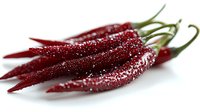 Fresh red chili peppers covered with water drops on white background, macro food photography showing texture and detail. Isolated culinary ingredient.