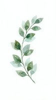Watercolor botanical branch with layered green leaves in varying tones, isolated on white background. Suitable for design, print, and decorative applications.