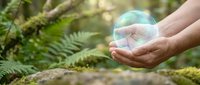 Hands gently holding glowing transparent sphere in lush green forest with ferns. Environmental protection, nature conservation and sustainability concept.