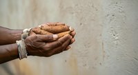 Hands of an older adult with dark skin tone holding fresh ginger root, conveying natural wellness, traditional medicine, cooking ingredients, and healthy lifestyle choices.
