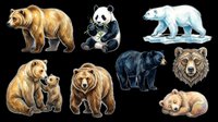 Isolated bear collection featuring brown bear, giant panda, polar bear, bear cub, black bear and grizzly bear on transparent background. Ready for t-shirt design, clipart, stickers and print-on-demand products.