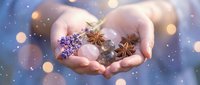 Hands holding aromatic spices including star anise, lavender and cinnamon with magical bokeh lights creating dreamy atmosphere for wellness and cooking concepts.