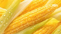 Fresh yellow corn cobs with water drops and green leaves in macro view, bright natural lighting shows texture of sweet corn kernels and morning dew.