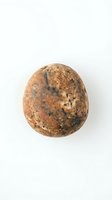 Fresh whole coconut with natural brown fibrous husk isolated on white background for tropical food and cooking ingredients design projects.