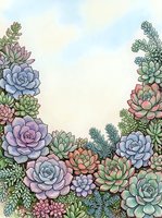 Colorful succulent plants frame border with empty center space for text on watercolor background for greeting cards and botanical designs.