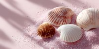Seashells collection on pink sandy beach surface with soft sunlight creating peaceful coastal atmosphere for summer vacation and marine decoration concepts.