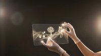 Hands holding transparent digital tablet displaying glowing tree and leaf hologram, representing technology, innovation, and sustainable digital solutions for business and environmental concepts.
